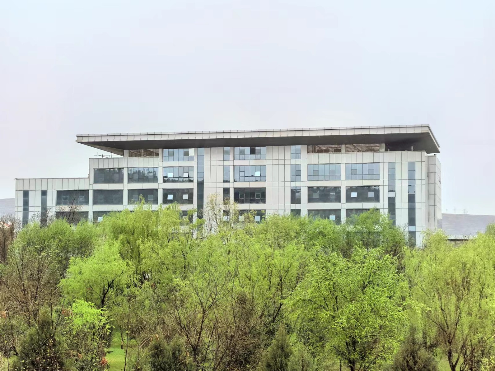 李芯悦摄5.jpg